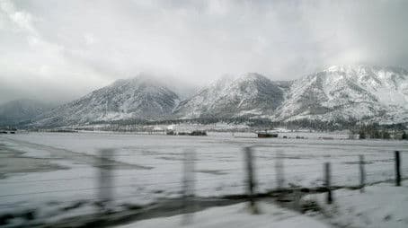 The Fast Food and the Furious