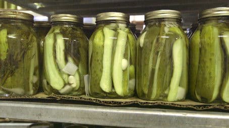 Fermentation