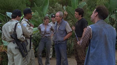 Greed for a Pirate's Dream