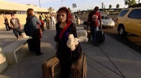 Too Punk Rock For This