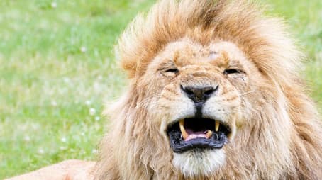 Summer 2024: Episode 4