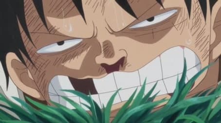 I'll Wait Here! Luffy vs. the Enraged Army!