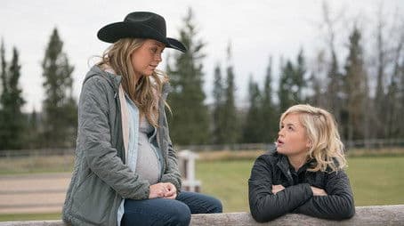 Written in the Stars