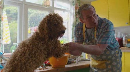 Waffle's Big Night In