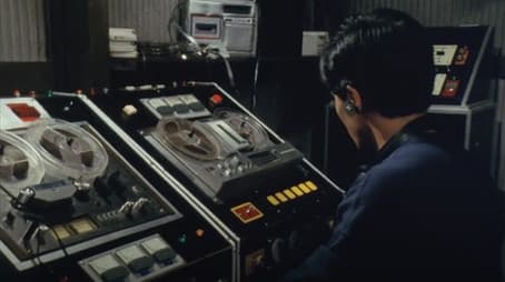 Voice Of A Bird Called Conflict