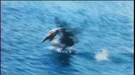 Designs for Survival