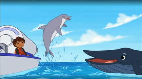 Ocean Animal Rescuer