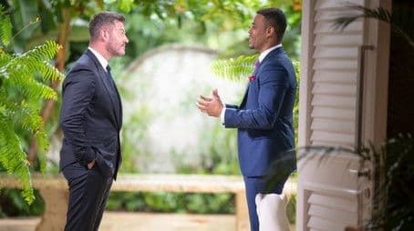 Finale and After the Final Rose