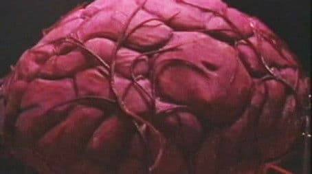 Time and the Rani (4)