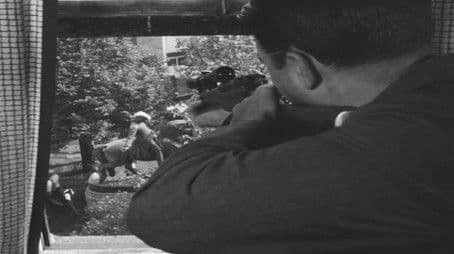 To Walk with the Serpent