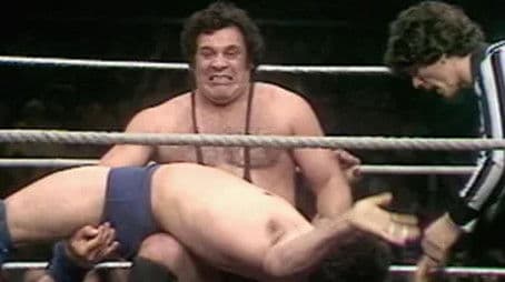 All Star Wrestling - March 21, 1981