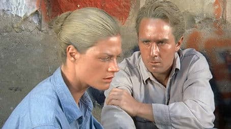 Straight On 'til Morning