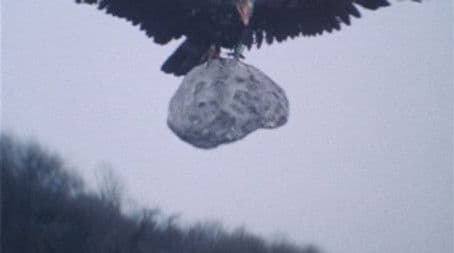 Attack! The Giant Bird