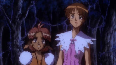 Memories of a Feather