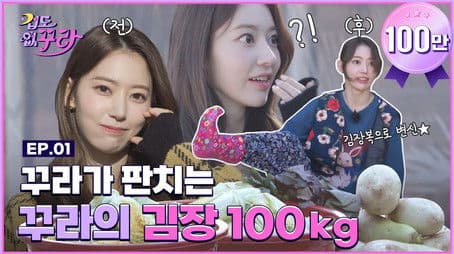 ✨ Kura's happy time... NOT! Make 100kg kimchi challenge