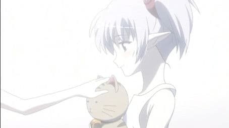 Primula Chapter Part 2