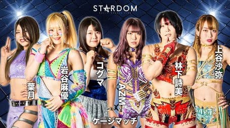 Stardom Fight In The Top ~Nagoya Summit Battle~