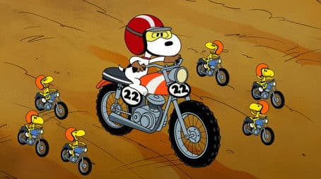 Speak Softly, and Carry a Beagle