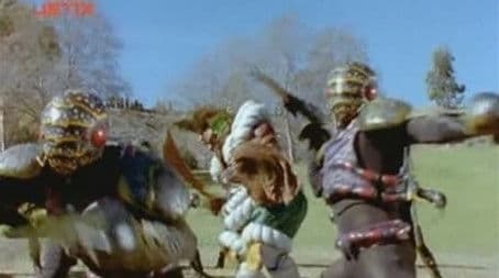 The Sunflower Search