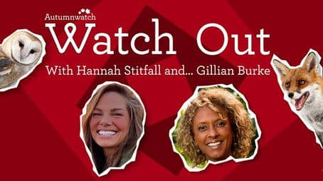Watch Out with Hannah Stitfall and Gillian Burke