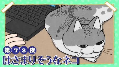 Night 73: A Cat About to Get Stuck