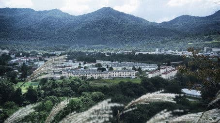 Rising from the Ruins