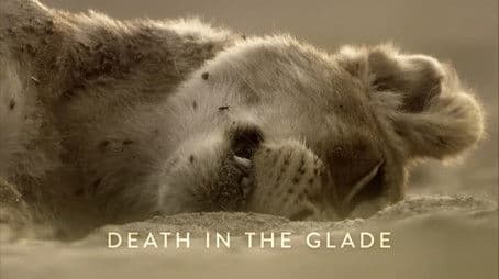 Death in the Glade