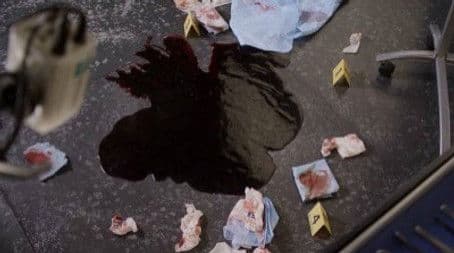 The Shot in the Dark