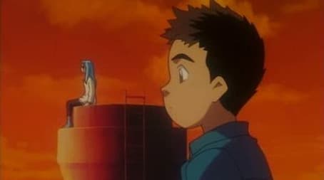 A Girl Admiring the Sunset