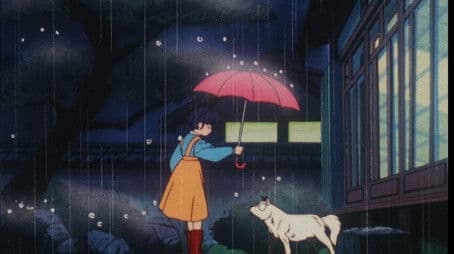 A Ninja's Dog Is Black and White