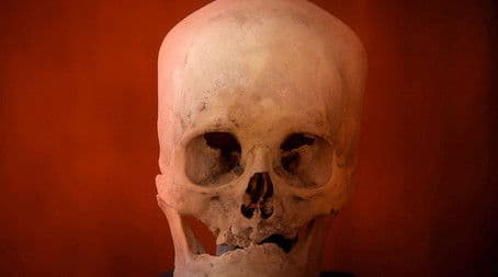 Aliens and the Creation of Man