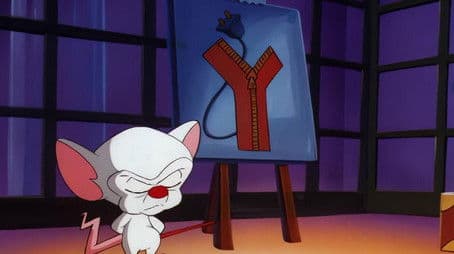 The Pinky And The Brain Reunion Special