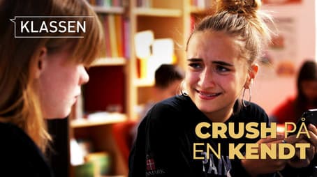 Crush on an celebrity