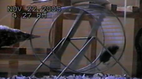 Different Uses For…