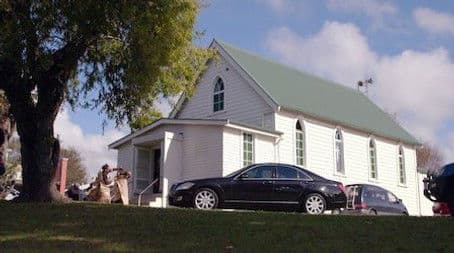 My young tōtara has been broken