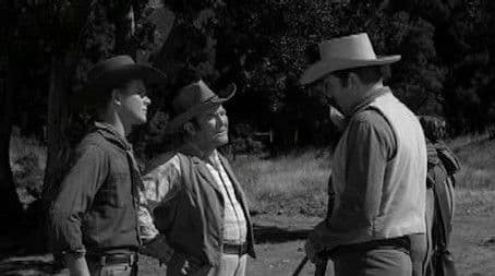 Never Pester Chester