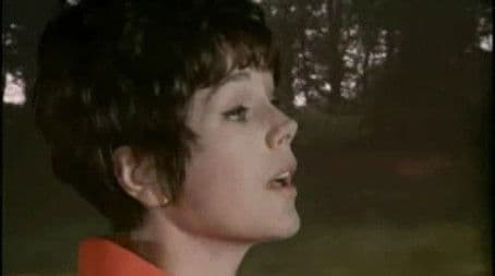 The Pied Piper of Hambledown