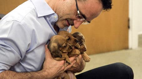 Episode 6 - Puppy Special