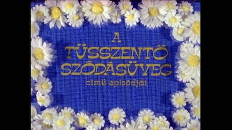 Tüsszentő szódásüveg