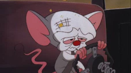 Hickory Dickory Bonk