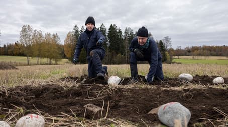 Idiots. Complete Idiots - Part 1