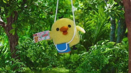 Eiji and the jungle tour