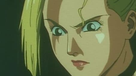 The Beautiful Assassin