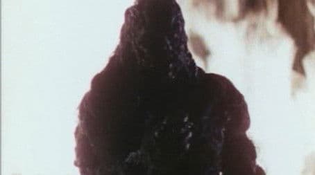 Dark Side of the Mirror