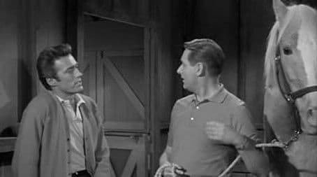 Clint Eastwood Meets Mister Ed