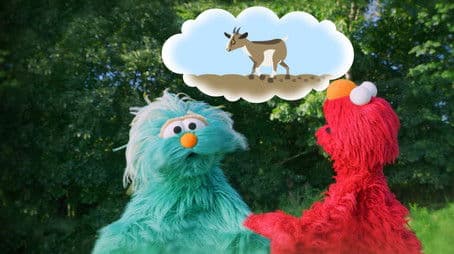 The Missing Goat Mystery