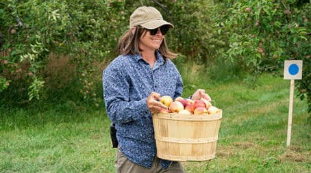 How Do You Like Them Apples?