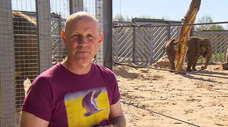 Elephants on the Move