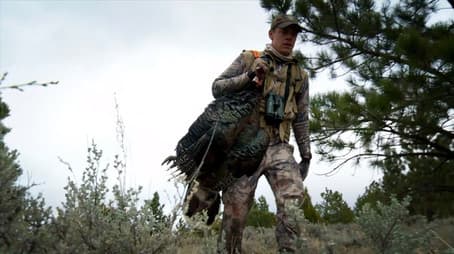 Big Sky, Bigger Birds: Montana Wild Turkey
