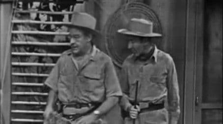 The Fury of the Cocoon